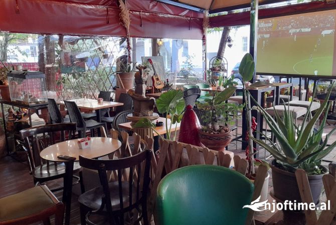 Ambient biznesi ne shitje 2+1 ne Tirane - 50,000 Euro