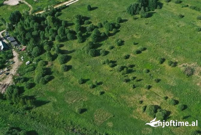Truall ose Toke  ne Tirane - 62,000 Euro