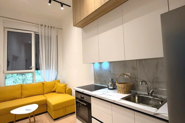 Shtepi me qera Apartament ne Tirane, 1+1, Mobilimi E mobiluar, Pagesa 500  Euro.