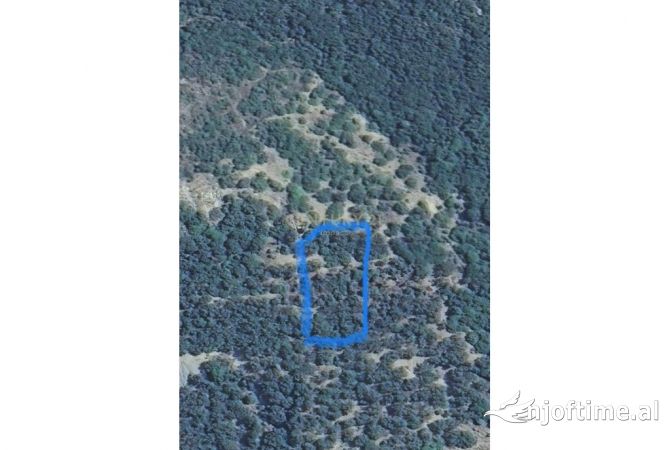 Toke ne Shitje ne Borsh , Sarande