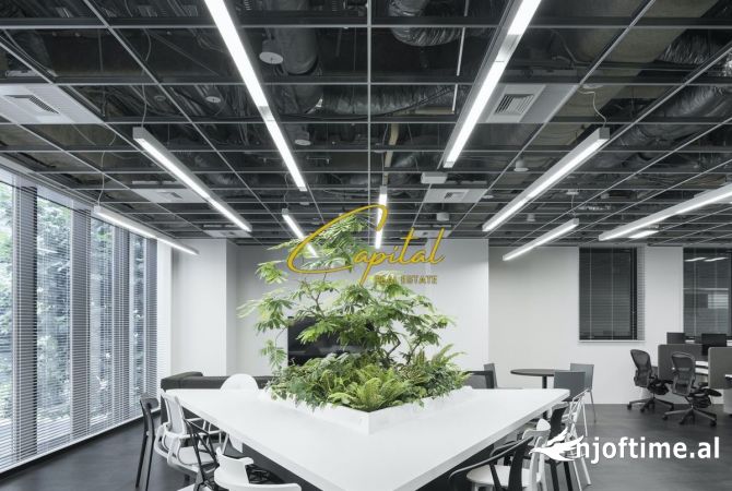 Ambient biznesi me qera 1+1 ne Tirane - 200,000 Leke
