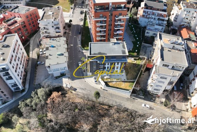 Business Property for Rent 5+1 in Tirana - 8,000 Euro