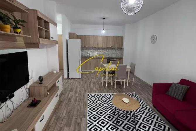 Shtepi me qera Apartament ne Tirane, 1+1, Mobilimi E mobiluar, Pagesa 450  Euro.