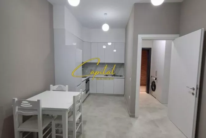 Shtepi me qera 1+1 ne Tirane - 600 Euro