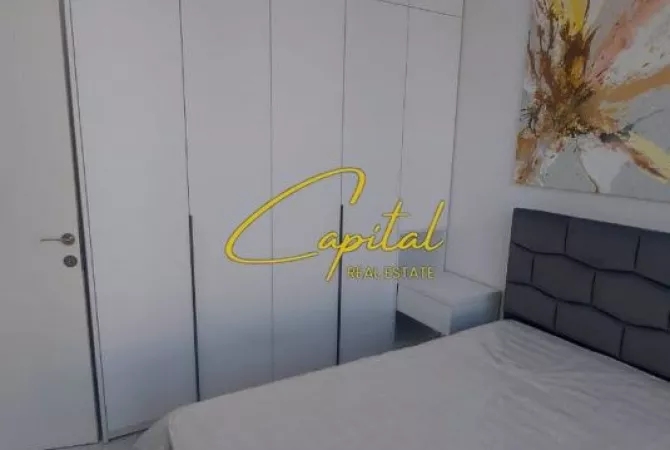 Shtepi me qera Apartament ne Tirane, 1+1, Mobilimi E mobiluar, Pagesa 470  Euro.