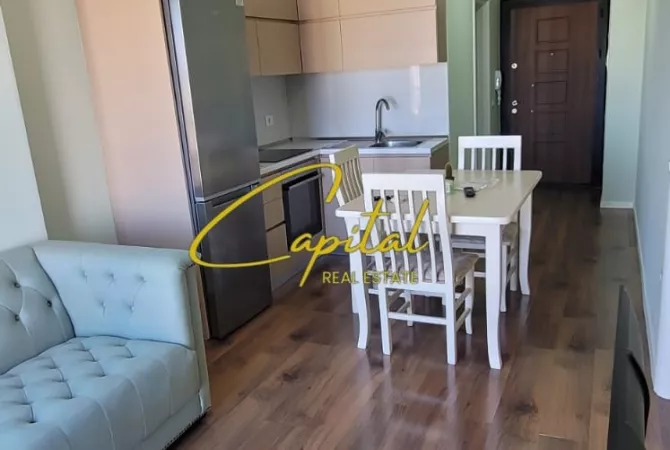 Shtepi me qera 1+1 ne Tirane - 500 Euro