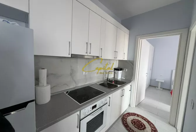 House for Rent 1+1 in Tirana - 65,000 Leke