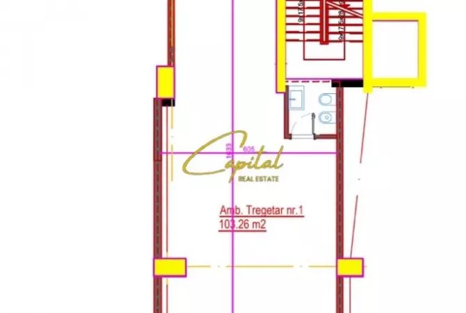 SHITET DYQAN 103 M2 ASTIR 300.000 EURO