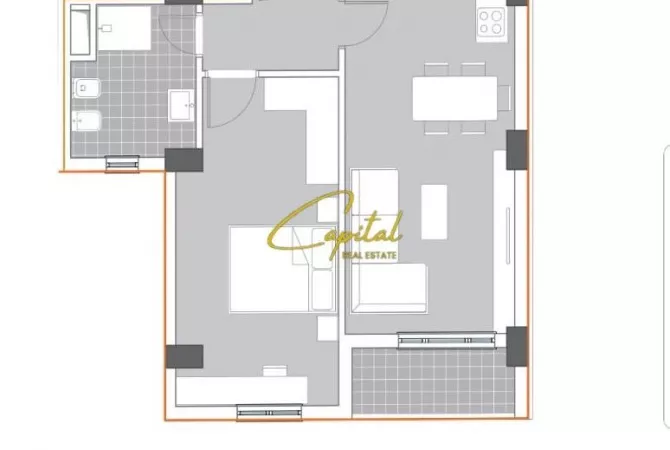 Shtepi ne shitje Apartament ne Tirane, 1+1, Mobilimi E mobiluar, Pagesa 139,500  Euro.