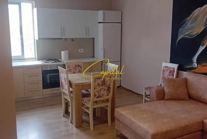 Shtepi me qera Apartament ne Tirane, 1+1, Mobilimi E mobiluar, Pagesa 55,000  Leke.