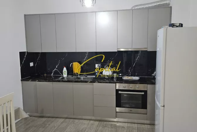 Shtepi me qera Apartament ne Tirane, 1+1, Mobilimi E mobiluar, Pagesa 500  Euro.