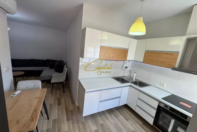 Shtepi me qera 1+1 ne Tirane - 650 Euro
