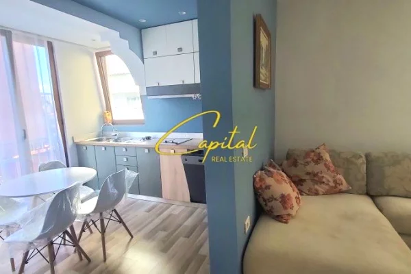 Shtepi me qera 1+1 ne Tirane - 55,000 Leke