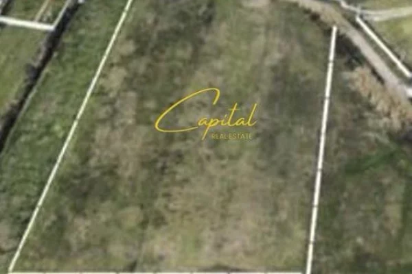 Truall ose Toke ne Tirane - 735,000 Euro