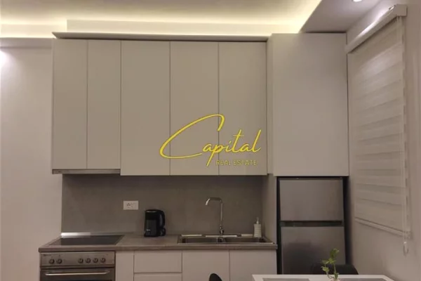 Shtepi me qera 1+1 ne Tirane - 60,000 Leke