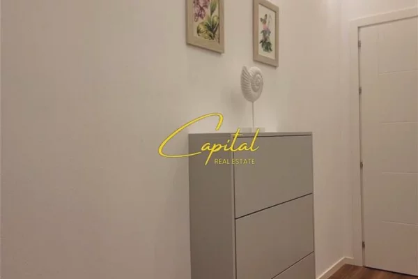 Apartment for rent in Tirana 1+1, Furnished