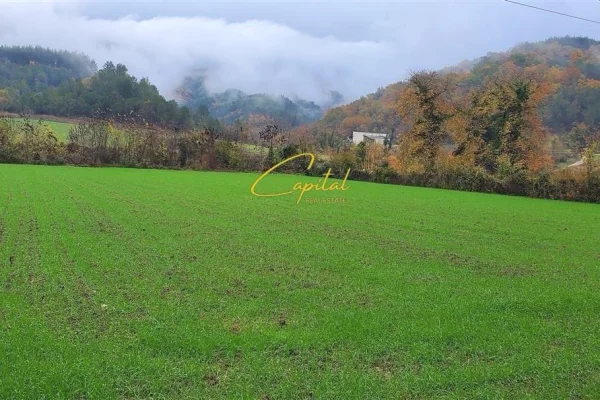 Truall ose Toke ne Tirane - 315,000 Euro