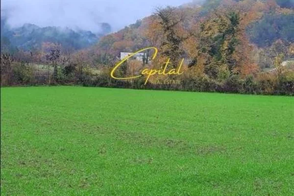 Truall ose Toke ne Tirane - 315,000 Euro