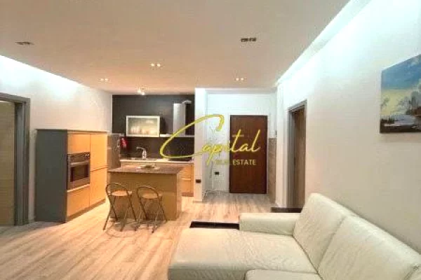 House for Rent 1+1 in Tirana - 600 Euro