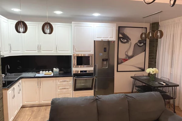 Casa in affitto 1+1 a Tirana - 55,000 Leke