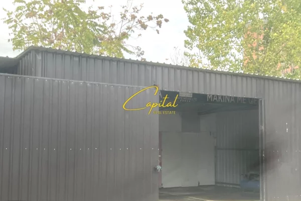 Ambient biznesi me qera 4+1 ne Tirane - 80,000 Leke