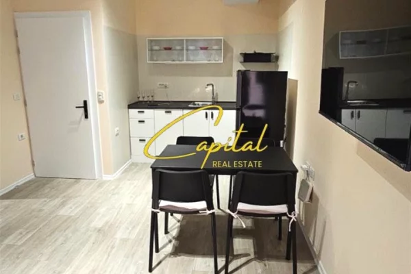 Shtepi me qera 1+1 ne Tirane - 80,000 Leke