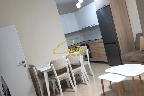 Shtepi me qera 1+1 ne Tirane - 50,000 Leke