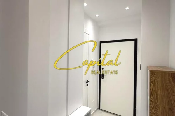 Apartment for rent in Tirana 1+1, Furnished