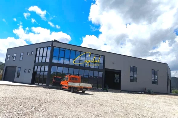 Ambient biznesi me qera 4+1 ne Tirane - 4,000 Euro