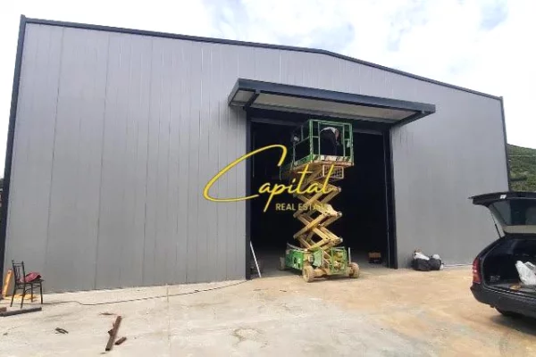 Ambient biznesi me qera 4+1 ne Tirane - 2,000 Euro