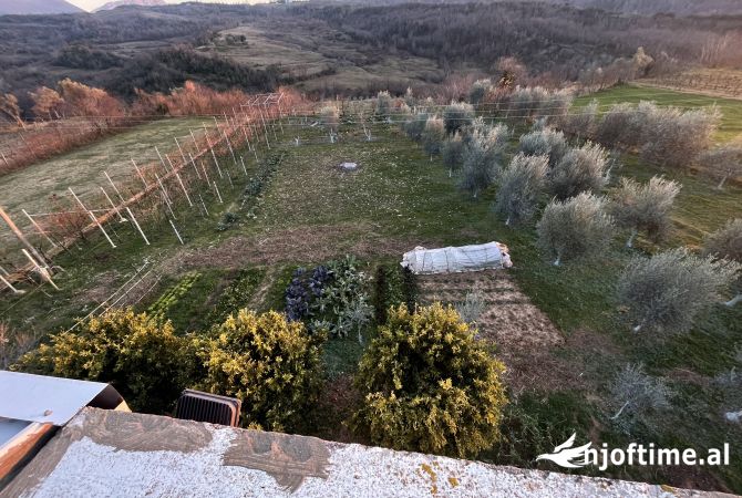 Shtepi me qera Duplex(shtepi me 2 kate) ne Tirane, 5+1, Mobilimi Pjeserisht e mobiluar, Pagesa 2,500  Euro.