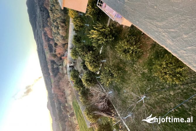 Shtepi me qera Duplex(shtepi me 2 kate) ne Tirane, 5+1, Mobilimi Pjeserisht e mobiluar, Pagesa 2,500  Euro.