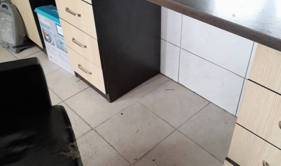 Foto 3