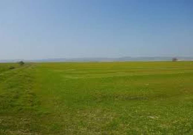 Shitet toke ne Sukth 