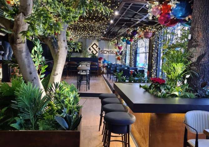 Njoftime Pune ne Tirane, Profesioni Sanitare/lavapjatese , , Pagesa Me Marreveshje.