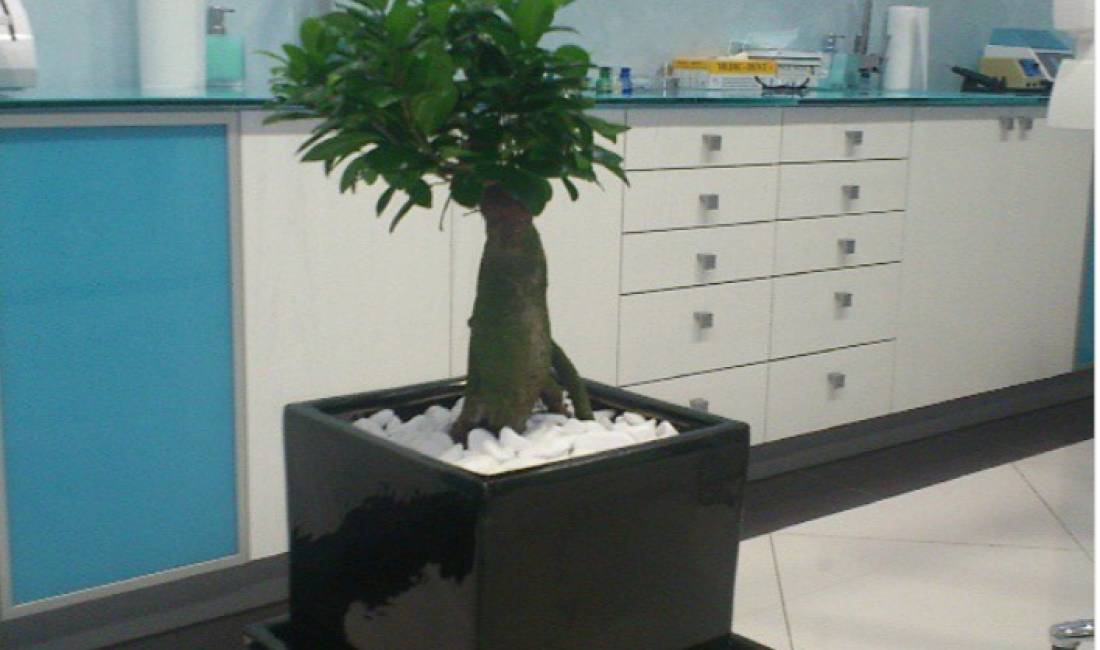 Foto 3