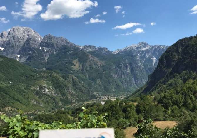 Sherbime Udhetimi dhe Transporti  ne Shkoder - 0 Leke
