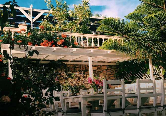 Job Offers in Saranda, Profession Kuzhunier, ndihmes kuzhunier, kamarier , With experience, Payment By Agreement.