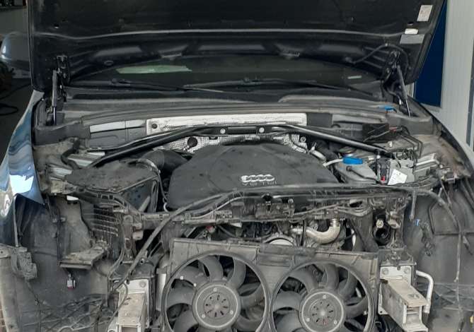 Car Service  in Lezha - 0 Leke
