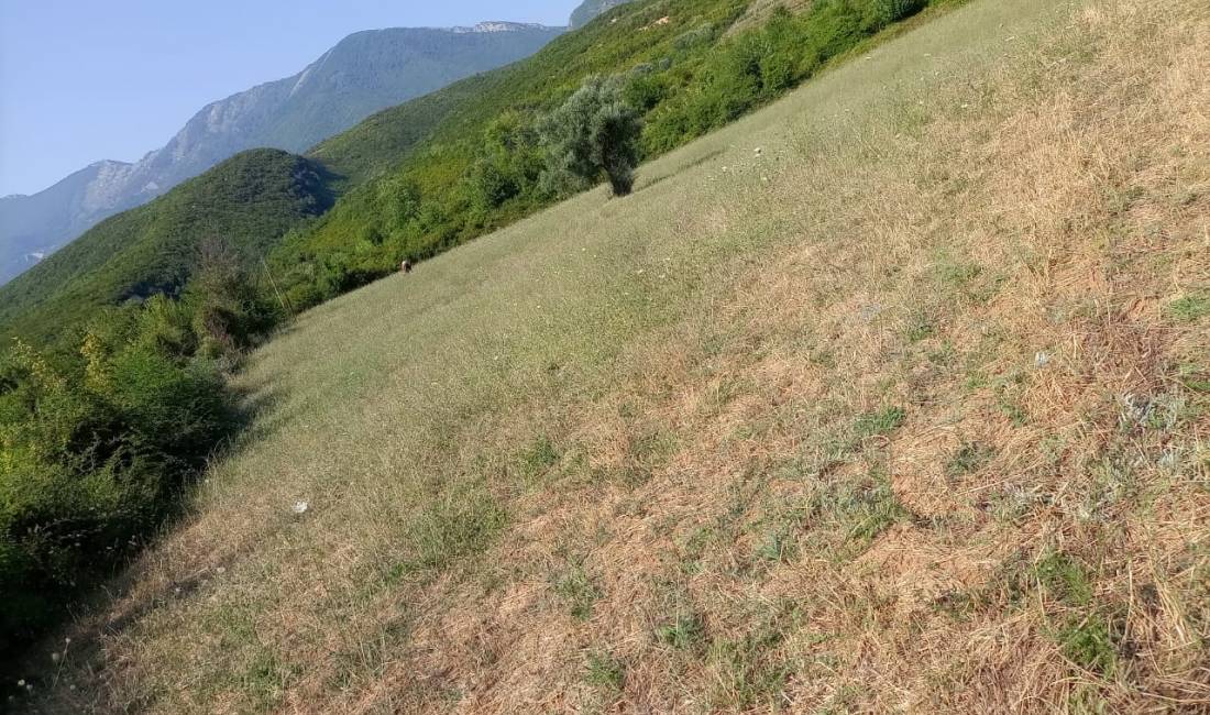 Foto 11