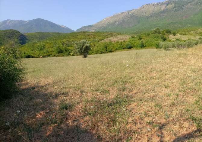 Truall ose Toke ne Tirane - 1,200,000 Leke