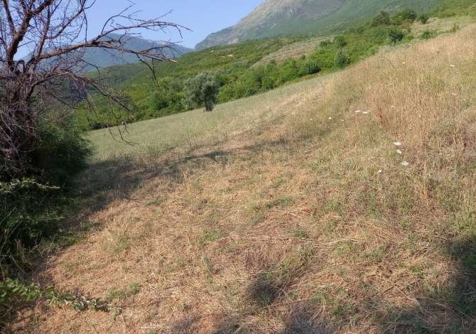Truall ose Toke ne Tirane - 1,200,000 Leke