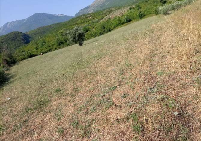 Truall ose Toke ne Tirane - 1,200,000 Leke