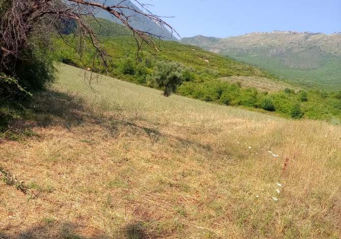 Shitet toka ne fshatin Gurre e Madhe ne Petrele 