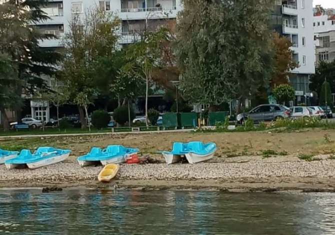 Shtepi ne shitje Apartament ne Pogradec, 1+1, Mobilimi E mobiluar, Pagesa 260,000  Euro.