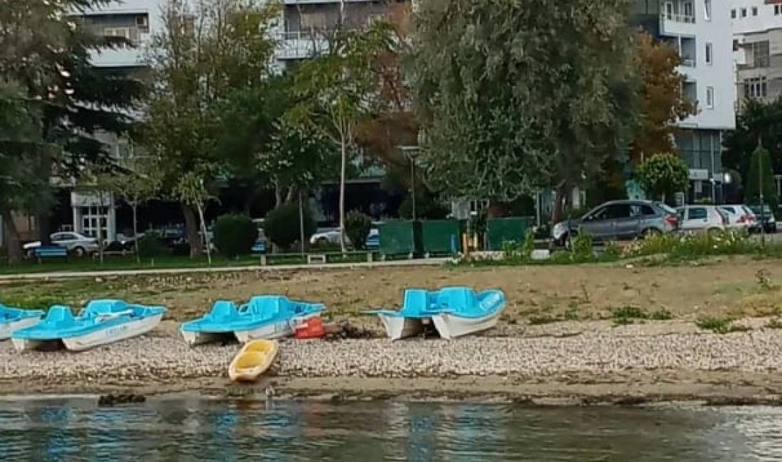 Foto 9
