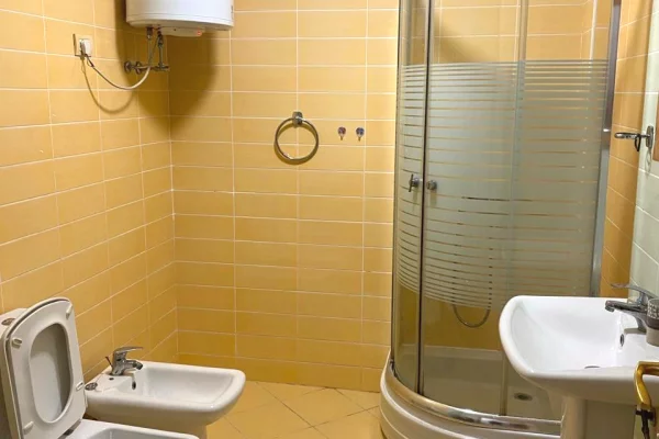 Shtepi me qera Apartament ne Tirane, 1+1, Mobilimi E mobiluar, Pagesa 500  Euro.