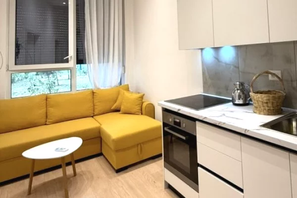Shtepi me qera 1+1 ne Tirane - 500 Euro