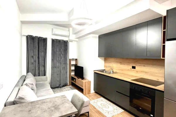 Shtepi me qera 1+1 ne Tirane - 35,000 Leke