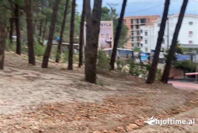 Terreno in vendita  a Alessio - 220,000 Euro